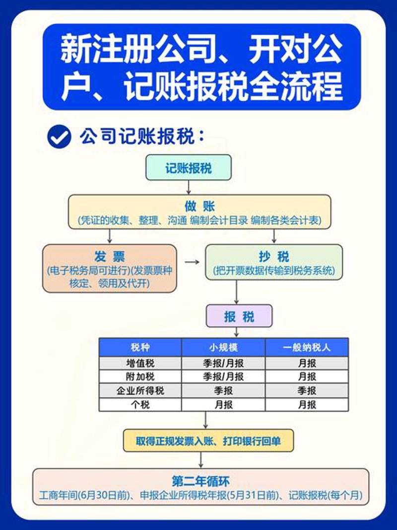 报税服务